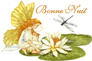 bonne nuit ange